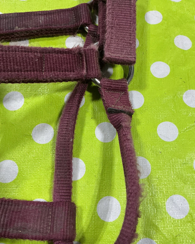 Halter Nylon Red Yearling Size