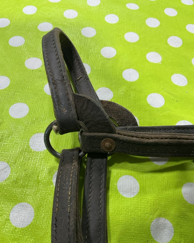 Halter Leather Yearling Size