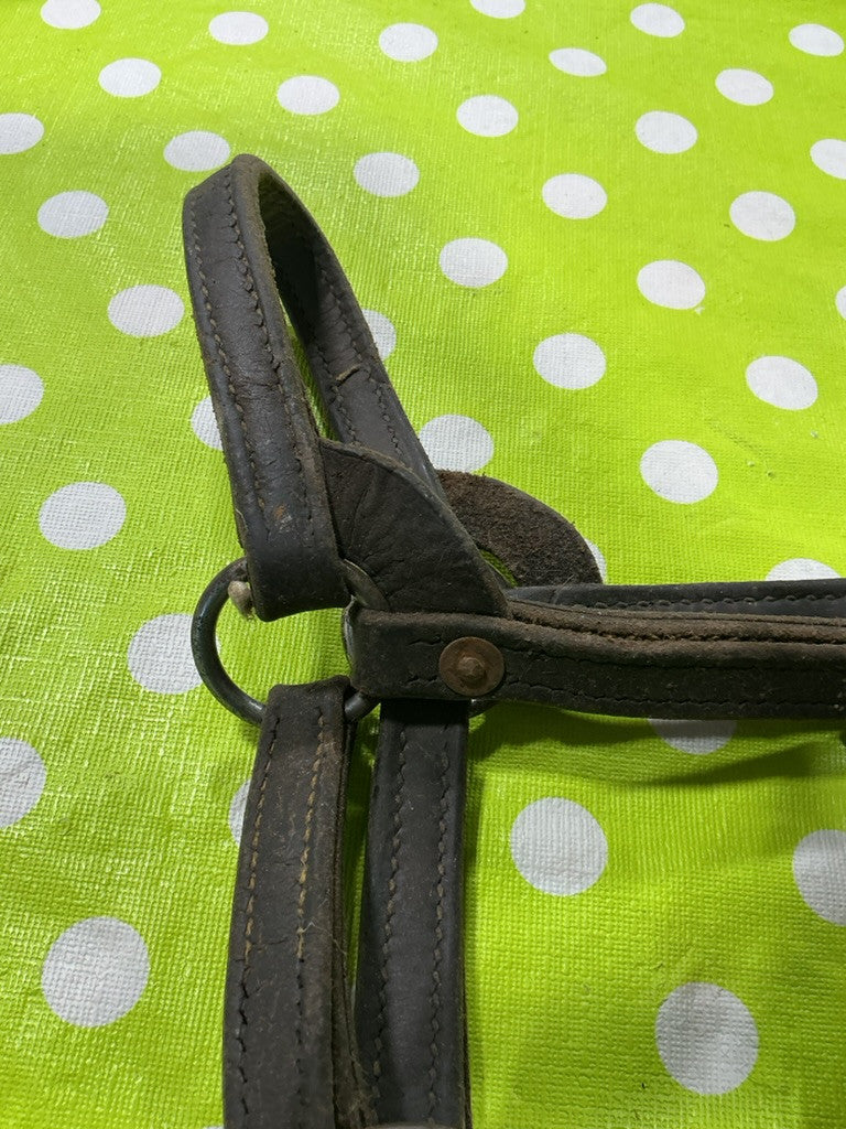 Halter Leather Yearling Size