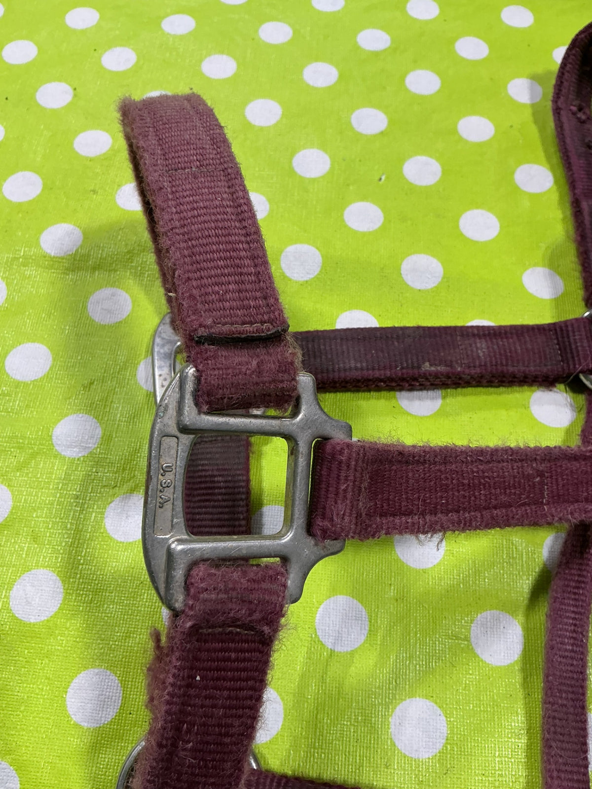 Halter Nylon Red Yearling Size