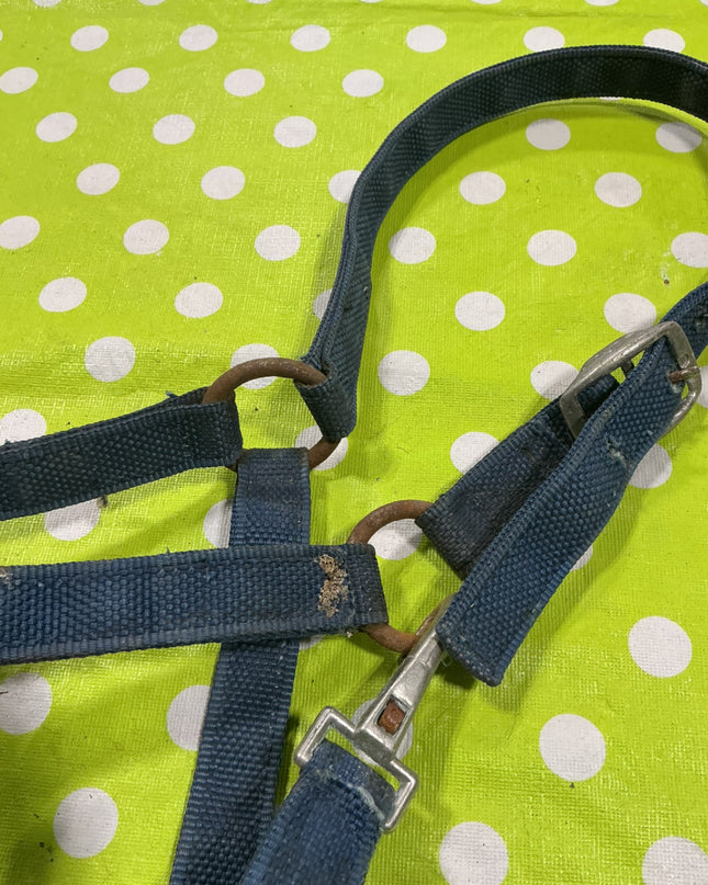 Halter Nylon Blue Horse Size