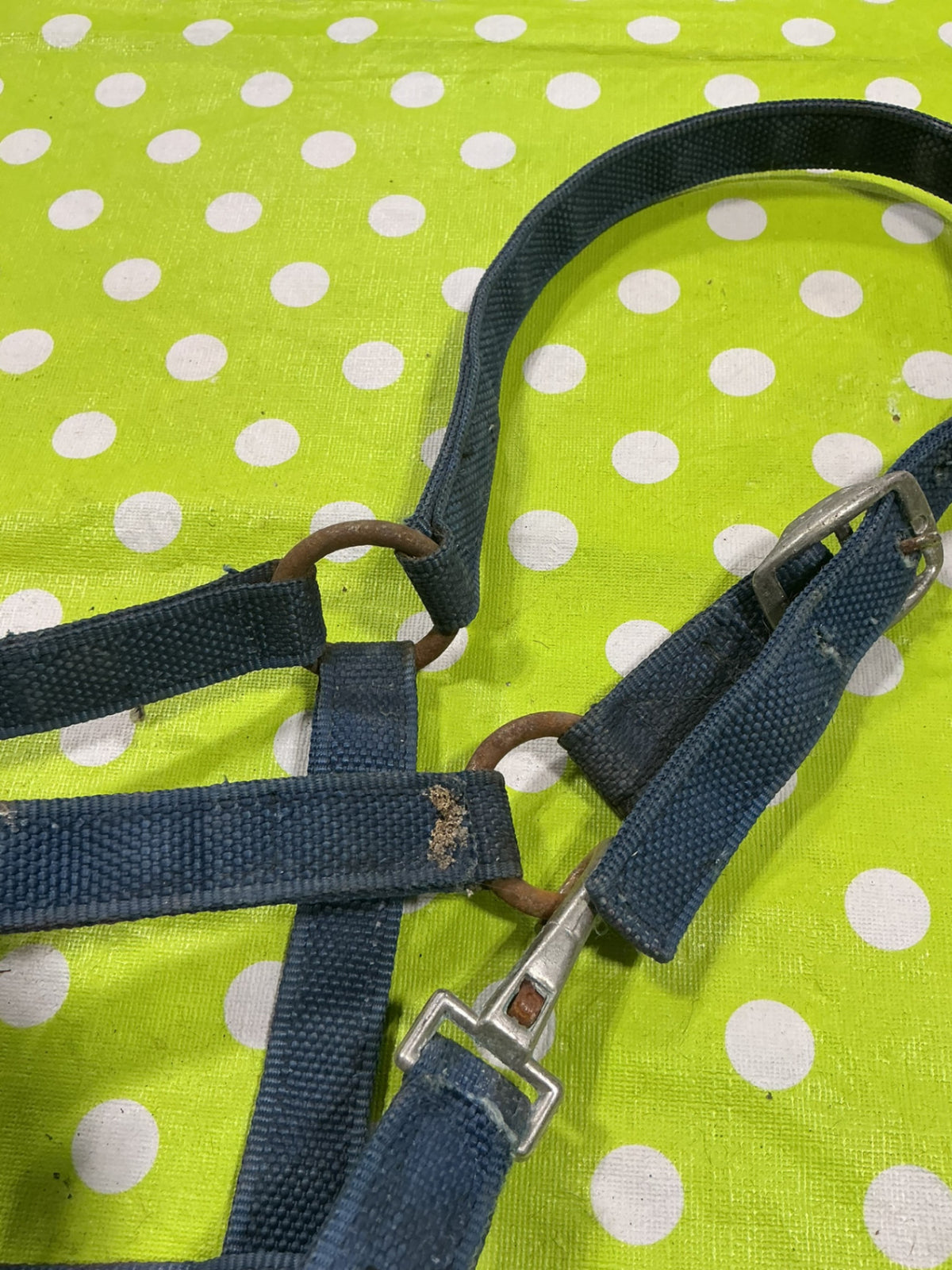 Halter Nylon Blue Horse Size