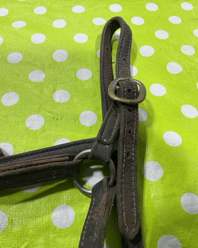 Halter Leather Yearling Size