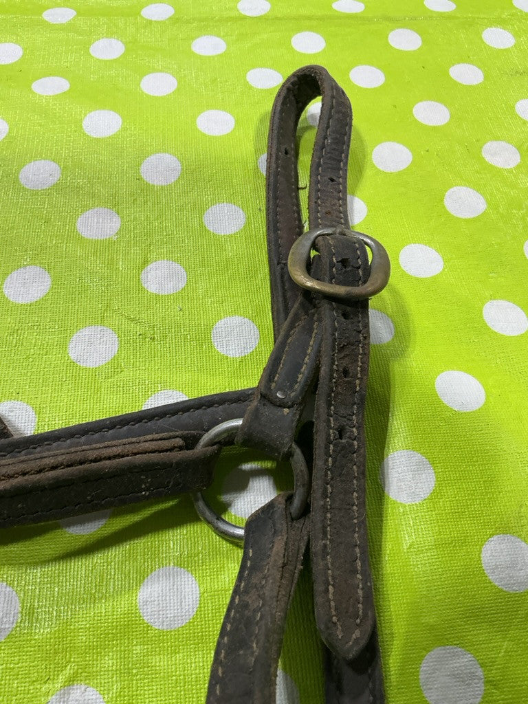 Halter Leather Yearling Size