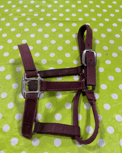 Halter Nylon Red Yearling Size
