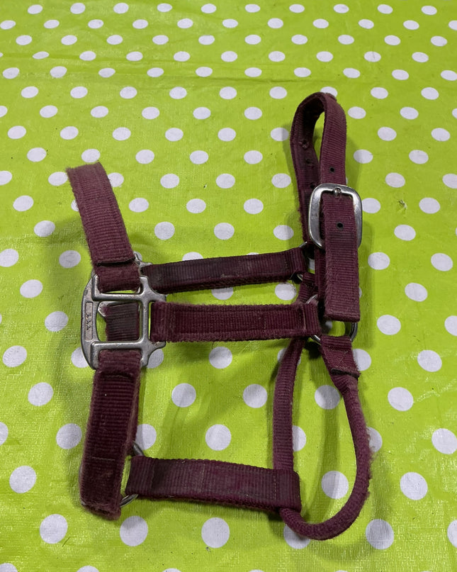 Halter Nylon Red Yearling Size