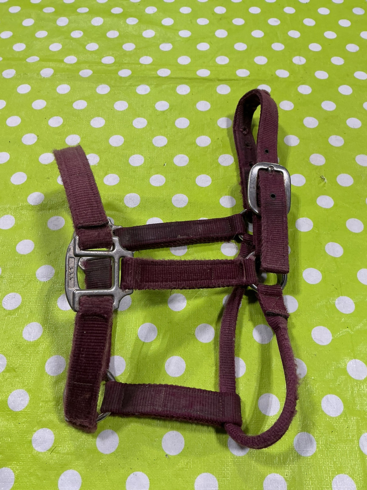Halter Nylon Red Yearling Size