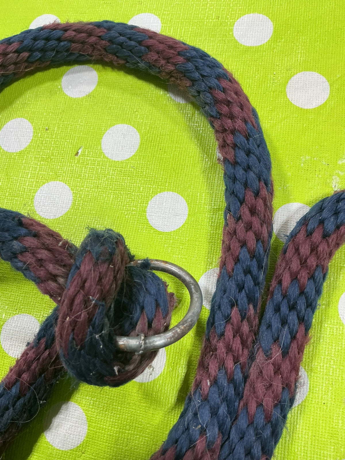 Lead Rope Burgandy/Blue No clip