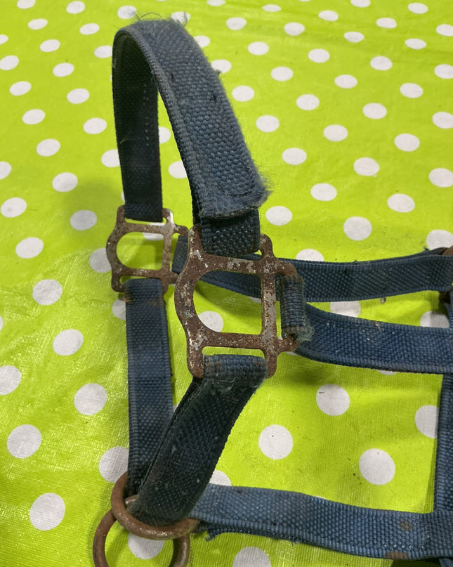 Halter Nylon Blue Horse Size