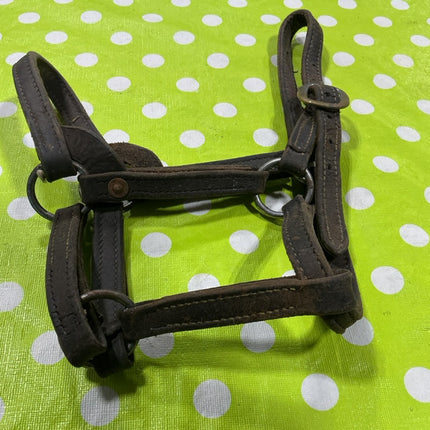 Halter Leather Yearling Size