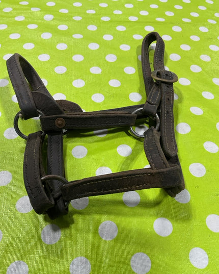 Halter Leather Yearling Size