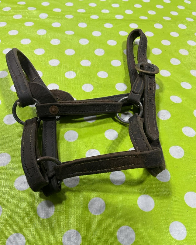 Halter Leather Yearling Size