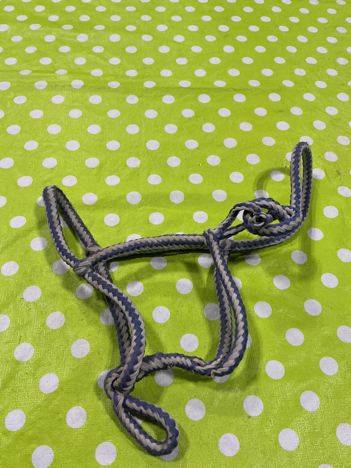 Halter Rope Purple/White Pony Size