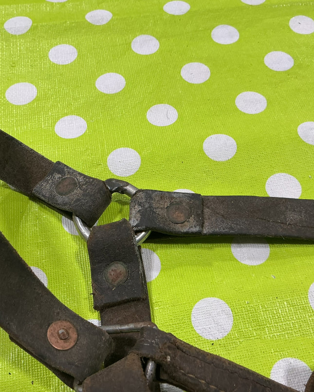Halter Leather Yearling Size Well worn/Broken strap