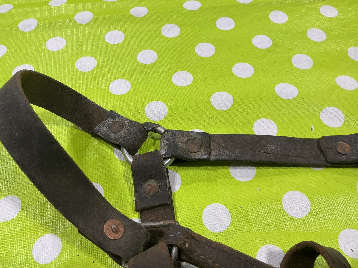 Halter Leather Yearling Size Well worn/Broken strap