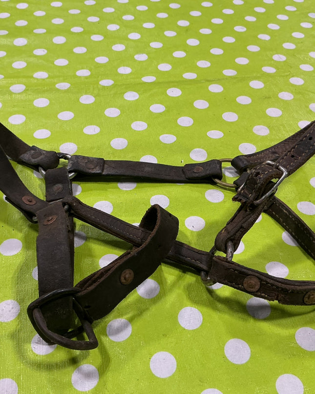 Halter Leather Yearling Size Well worn/Broken strap
