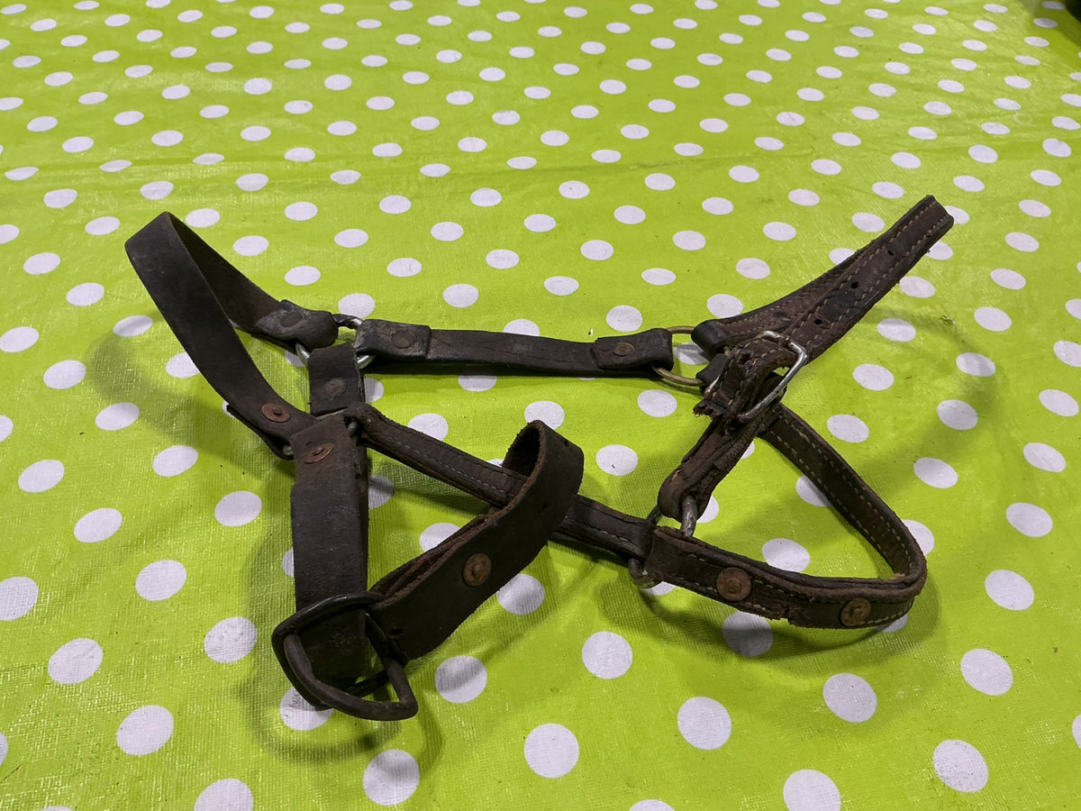Halter Leather Yearling Size Well worn/Broken strap