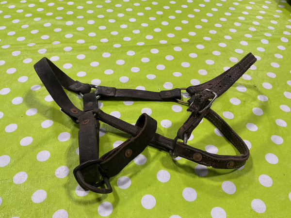 Halter – Leather, Yearling (Well Worn, Broken Strap) | Used, Acceptable