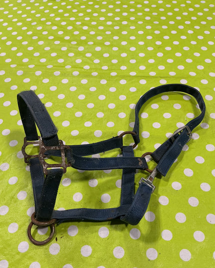 Halter Nylon Blue Horse Size