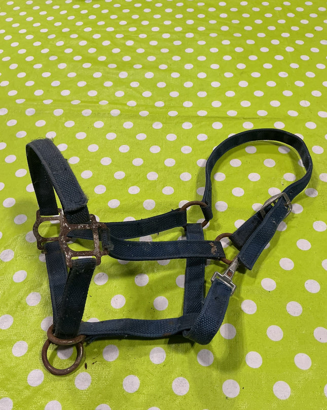 Halter Nylon Blue Horse Size