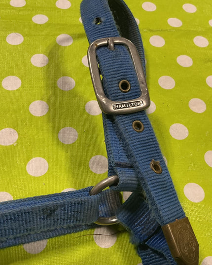 Halter Nylon Blue Horse Size