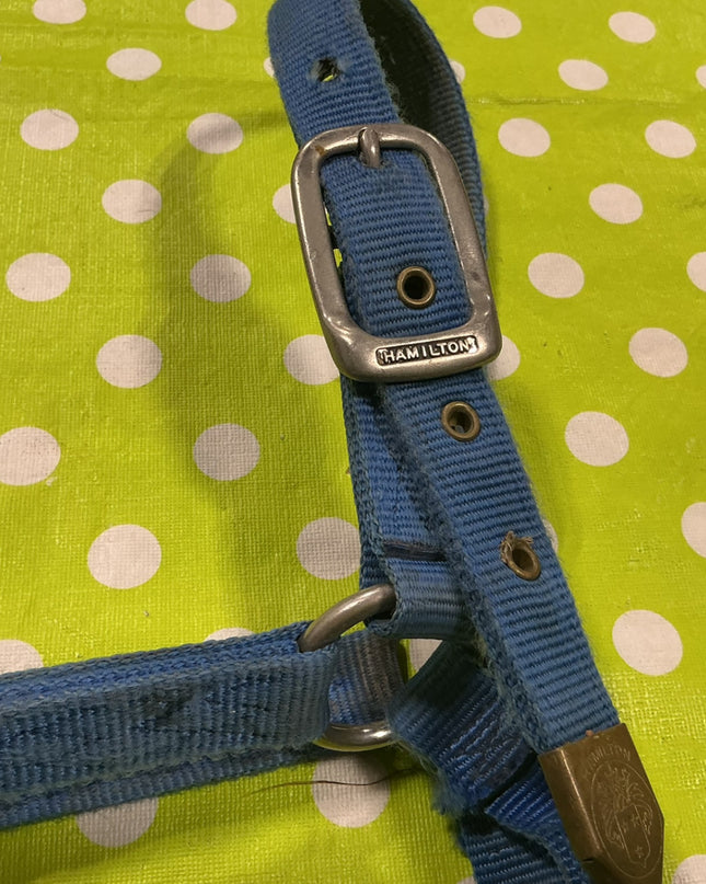 Halter Nylon Blue Horse Size