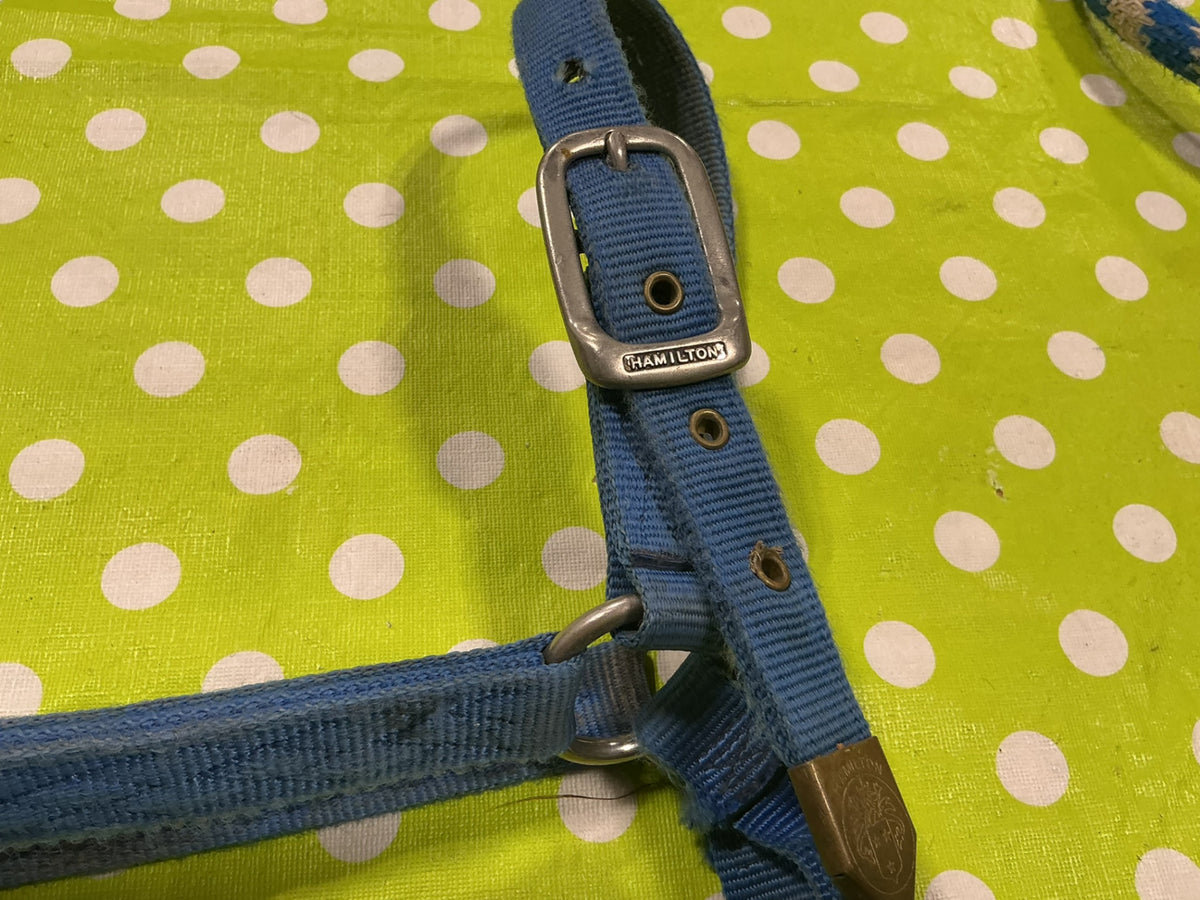 Halter Nylon Blue Horse Size