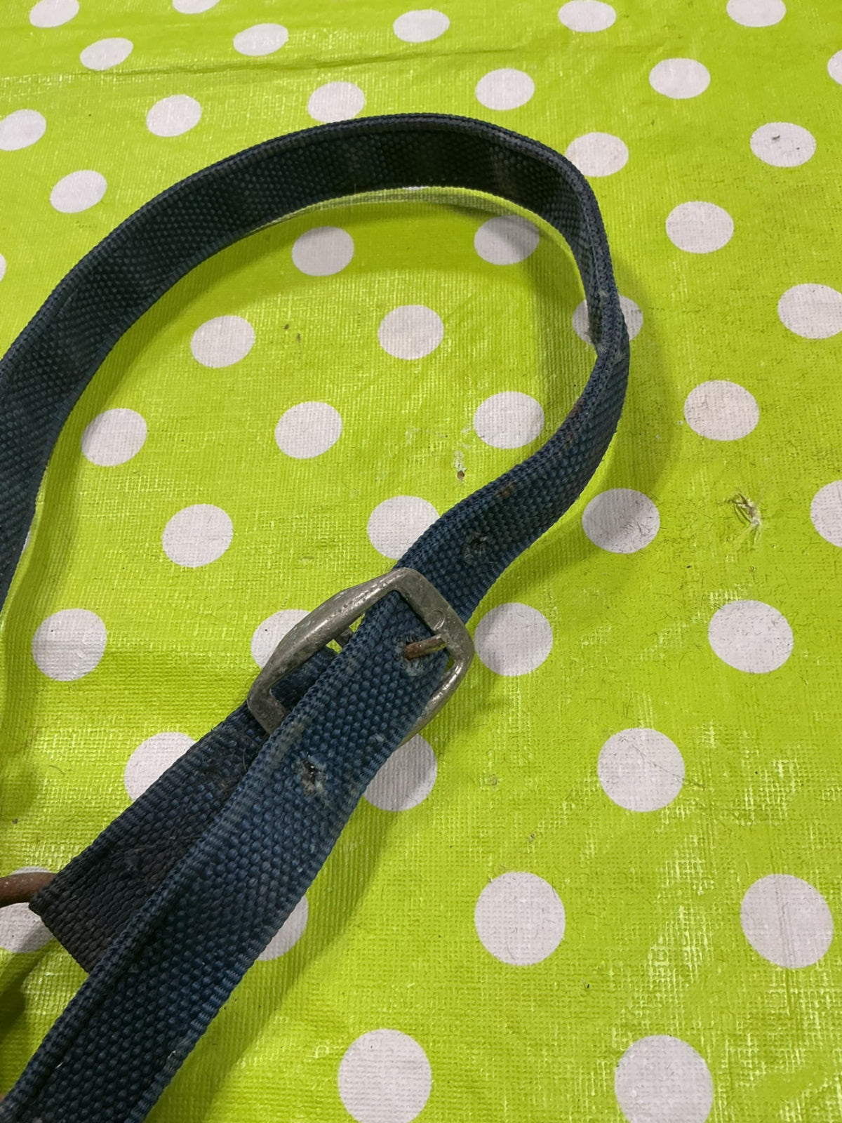 Halter Nylon Blue Horse Size
