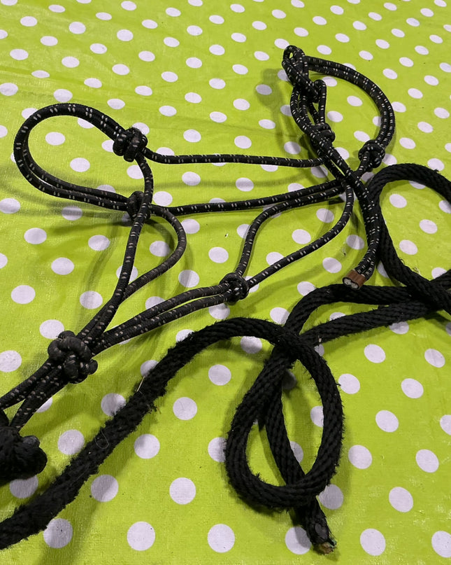 Halter Rope with Lead Black Horse Size
