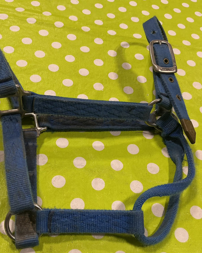Halter Nylon Blue Horse Size