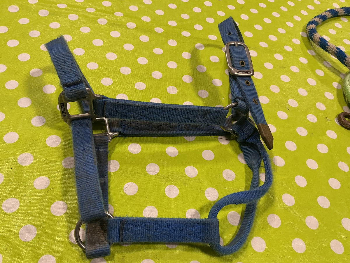 Halter Nylon Blue Horse Size