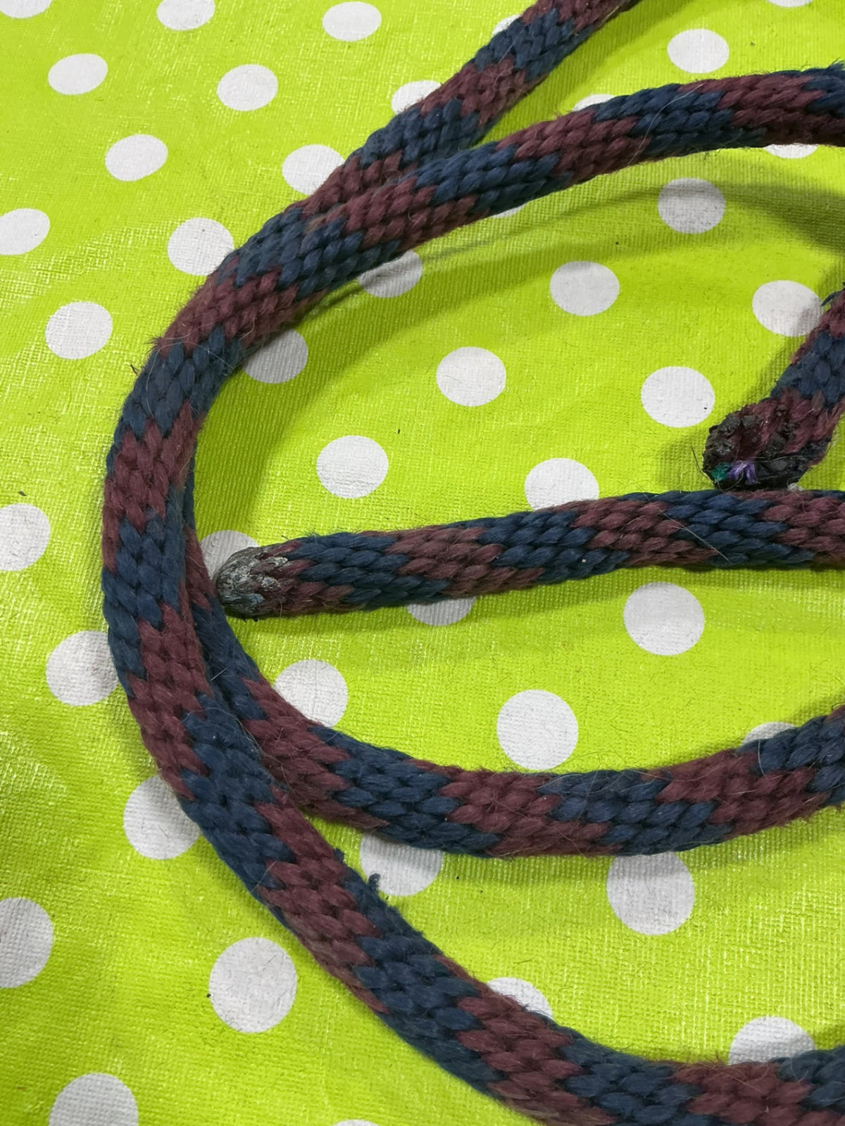 Lead Rope Burgandy/Blue No clip