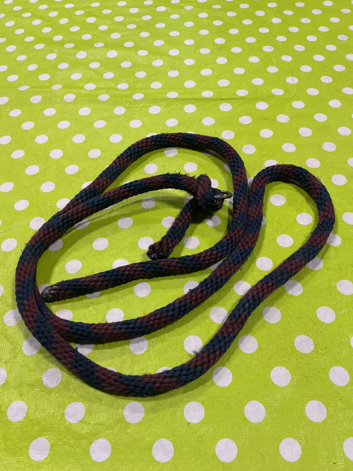 Lead Rope Burgandy/Blue No clip
