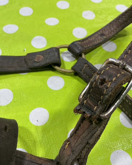 Halter Leather Yearling Size Well worn/Broken strap