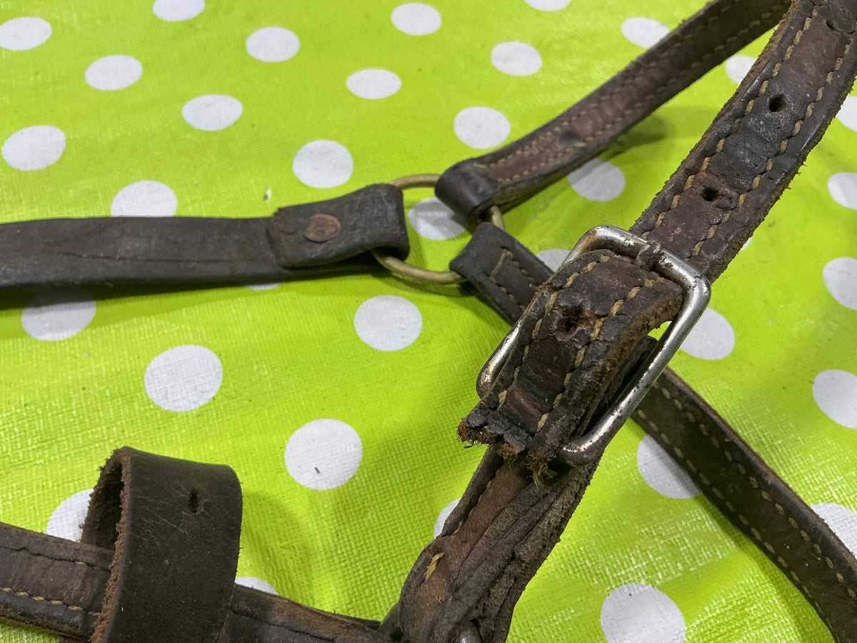 Halter Leather Yearling Size Well worn/Broken strap