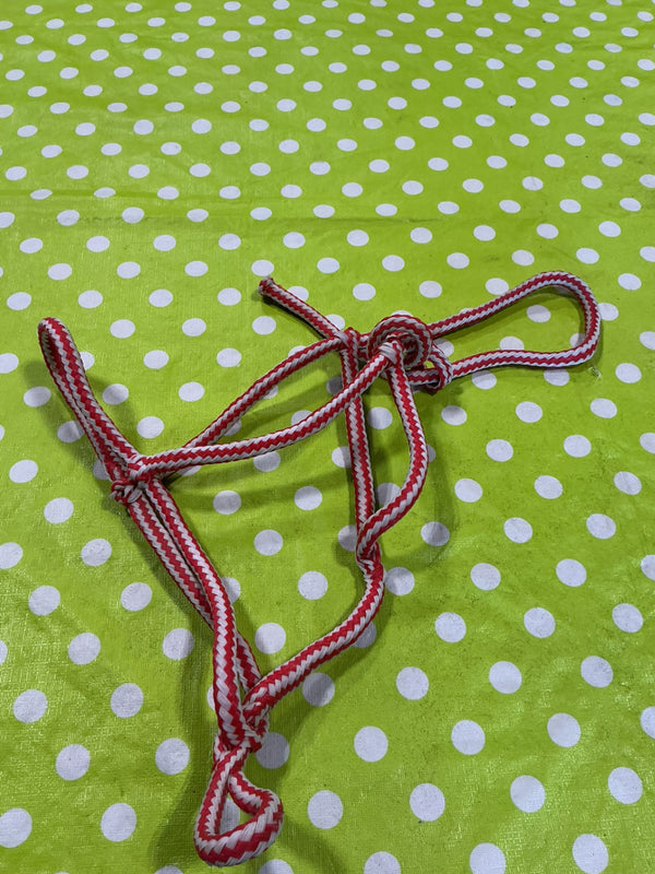 Halter – Rope, Red/White, Horse | Used, Very Good