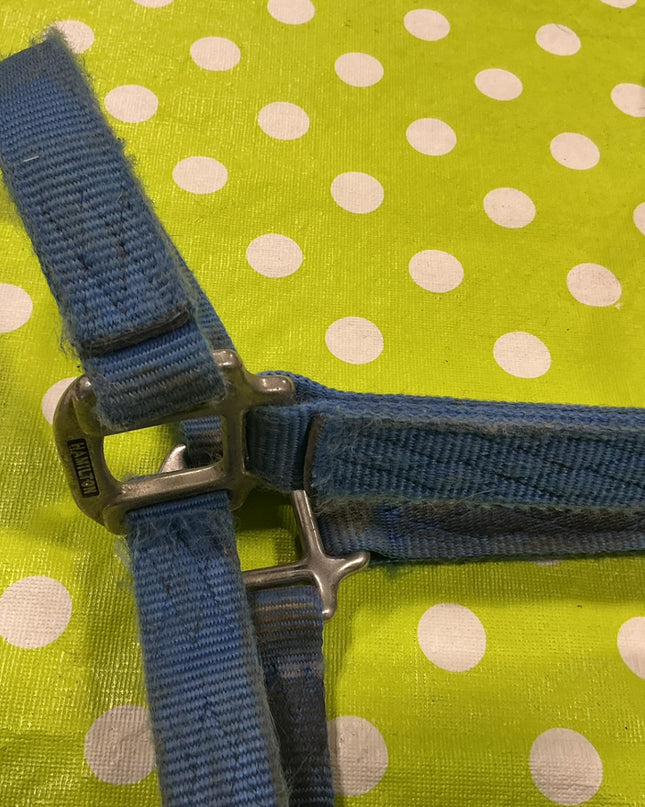 Halter Nylon Blue Horse Size