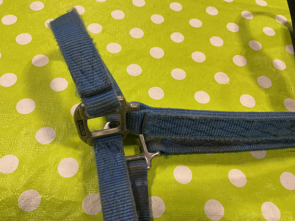Halter Nylon Blue Horse Size
