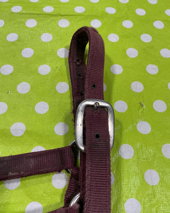 Halter Nylon Red Yearling Size