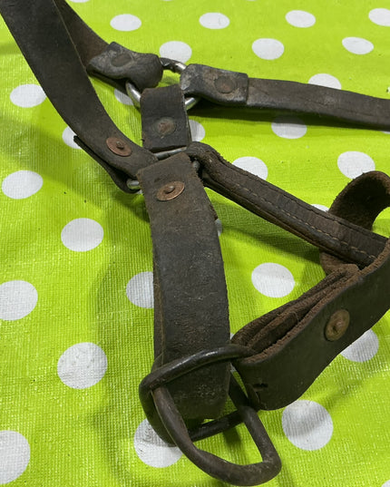 Halter Leather Yearling Size Well worn/Broken strap