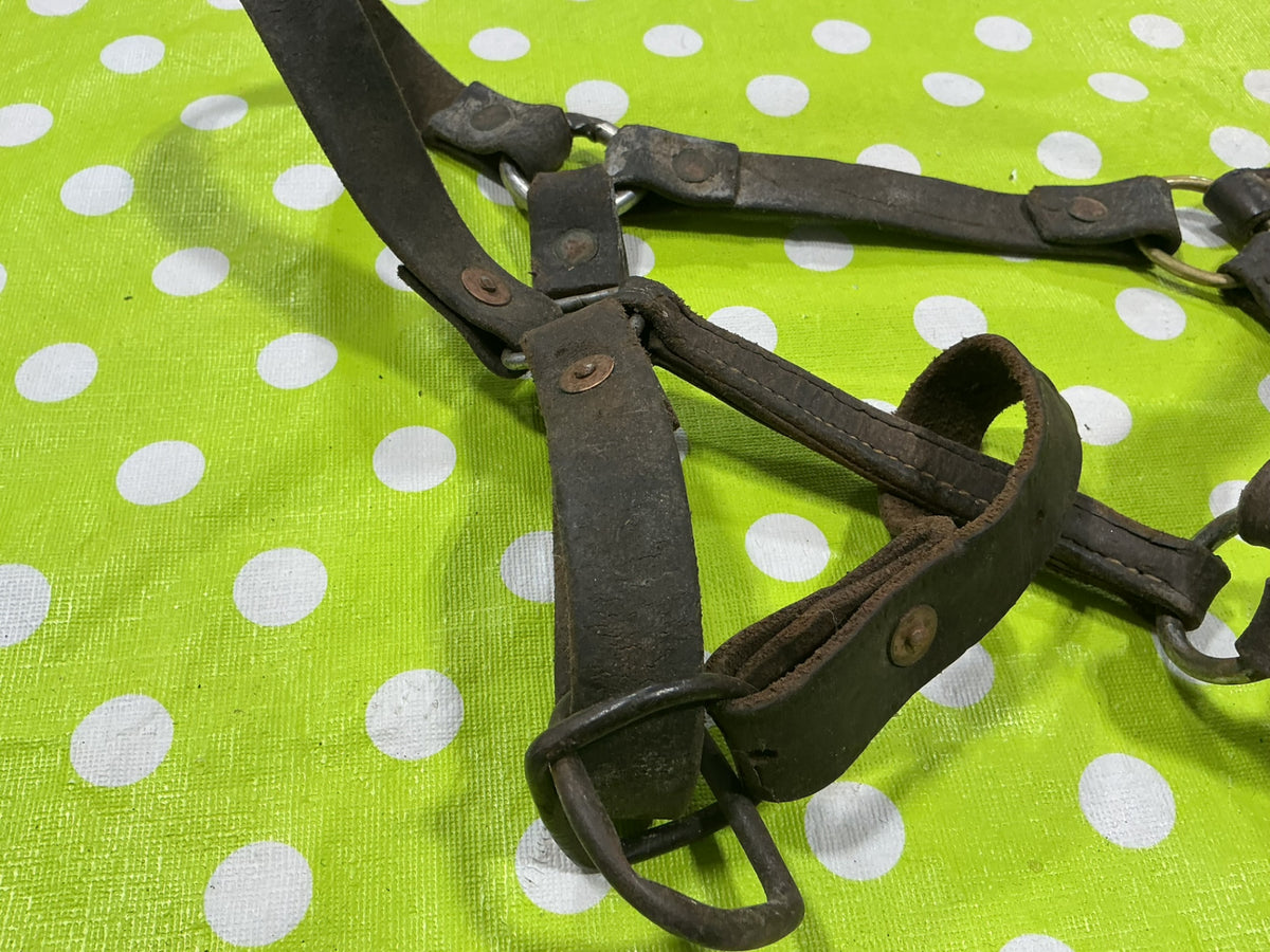 Halter Leather Yearling Size Well worn/Broken strap
