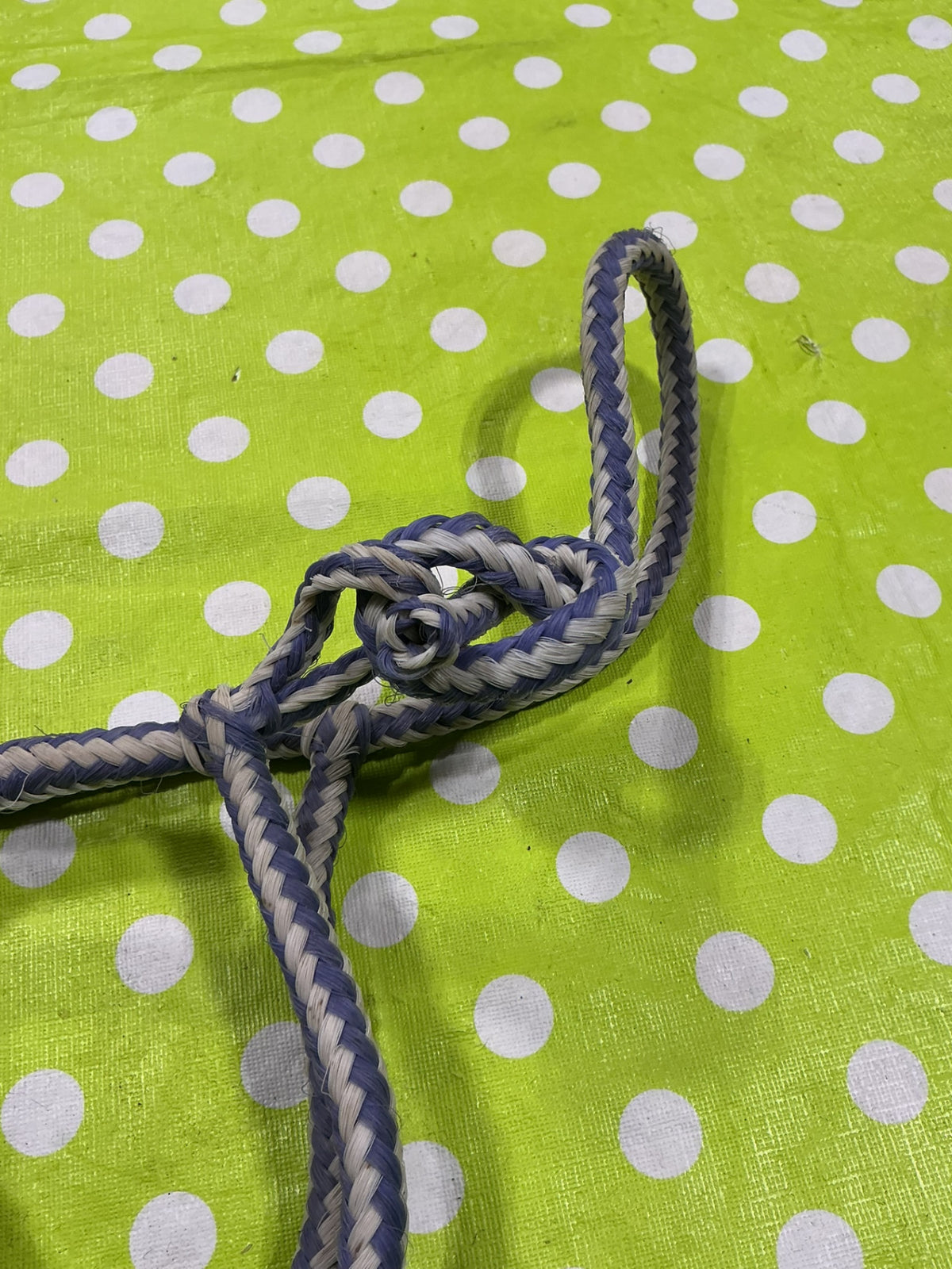 Halter Rope Purple/White Pony Size
