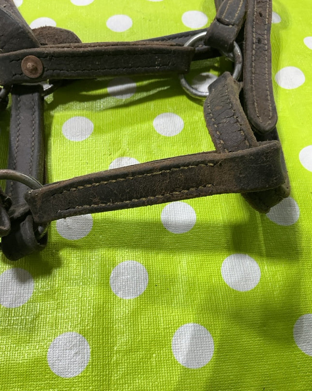 Halter Leather Yearling Size