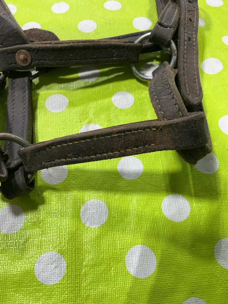 Halter Leather Yearling Size