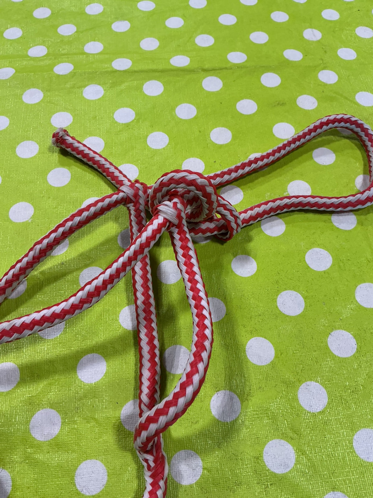 Halter Rope Red/white Horse Size
