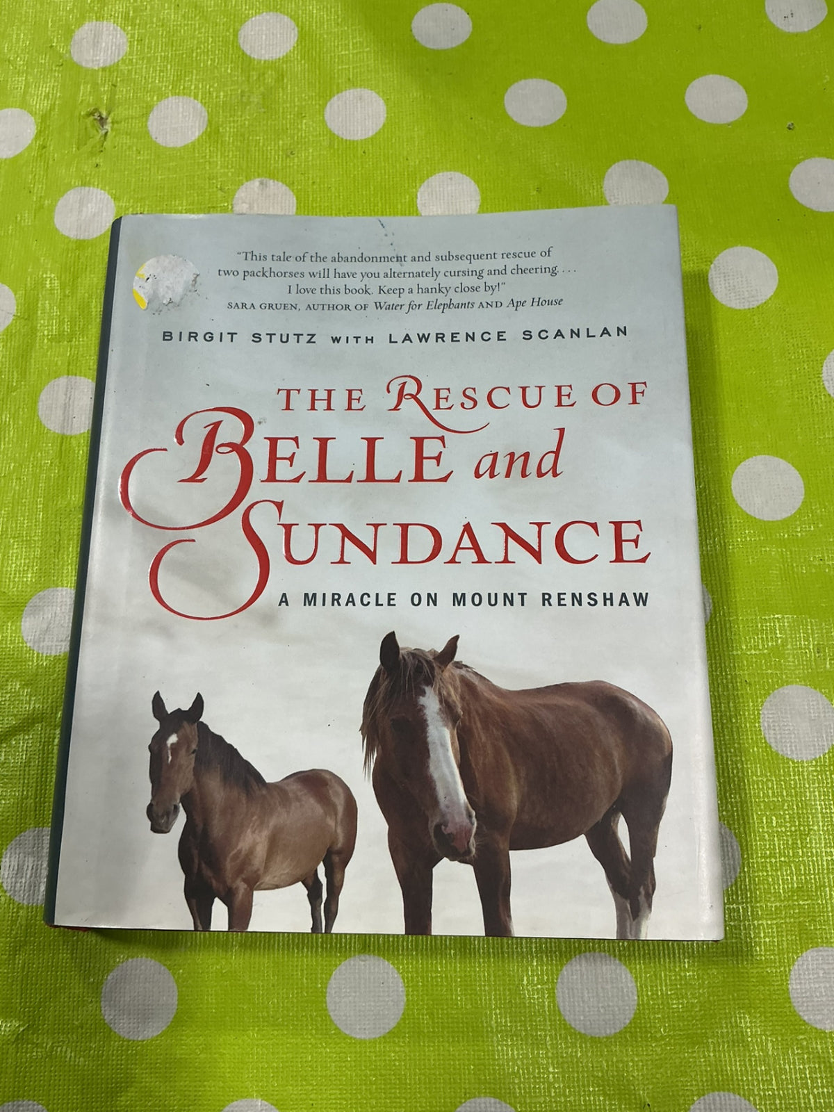 Book. The Rescue of Belle and Sundance