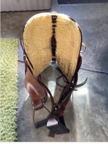 Western Endurance 16" G8" Sharon Saare 165
