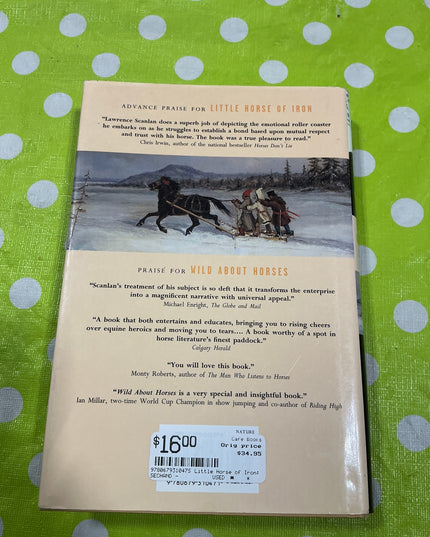 Book Little Horse of Iron