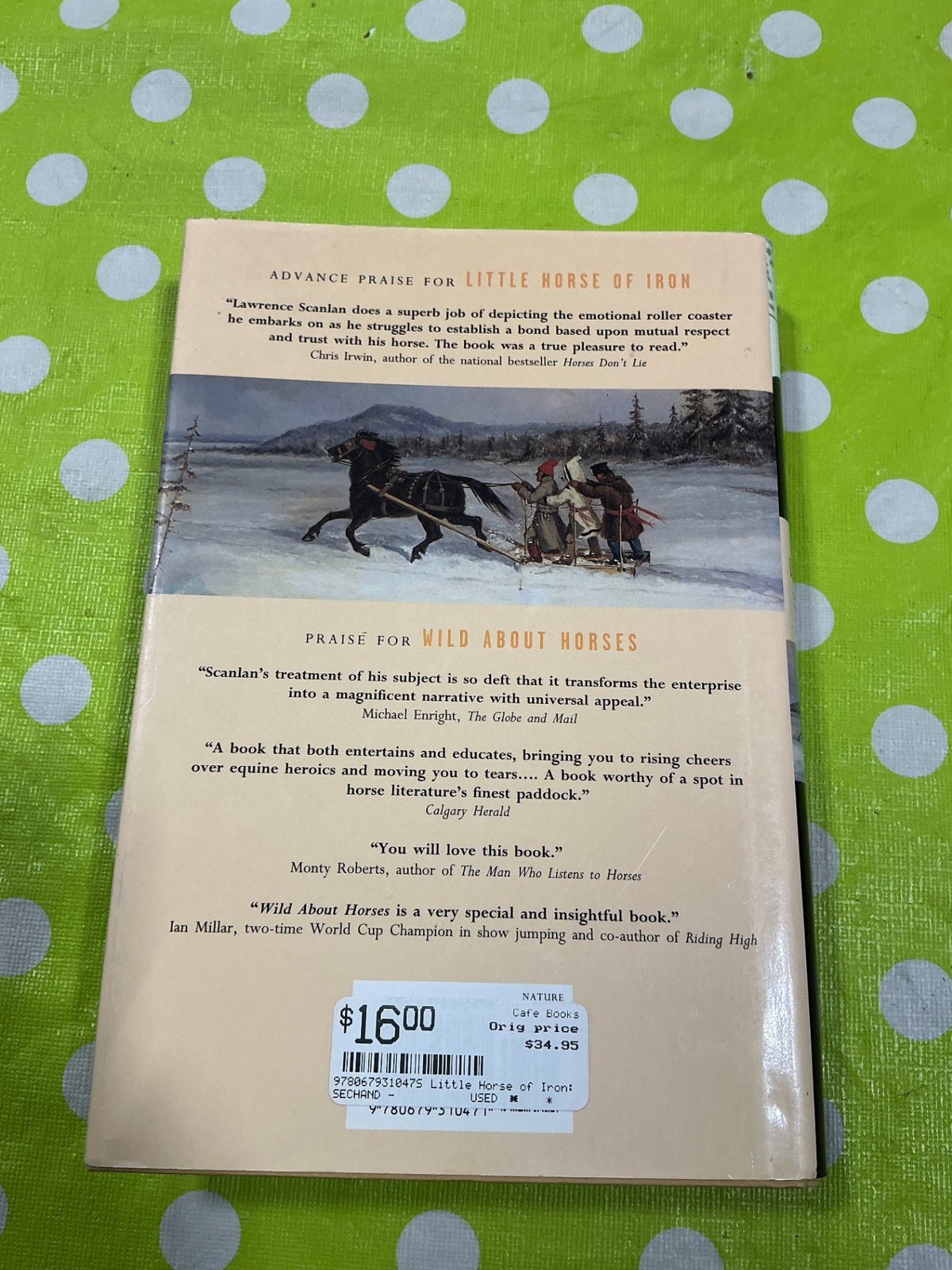 Book Little Horse of Iron
