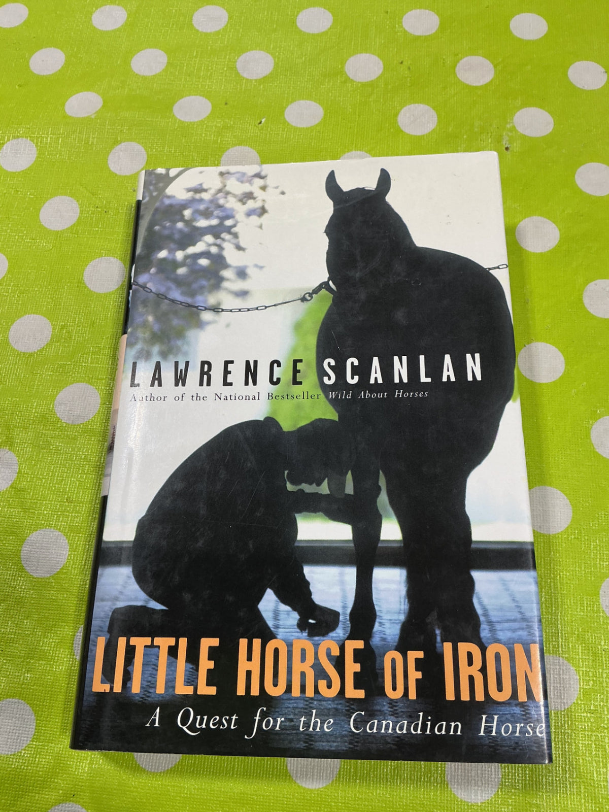 Book Little Horse of Iron